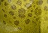 Echtes Steinbeißer Fischleder schwefel-gelb 0,6-0,8 mm #f403