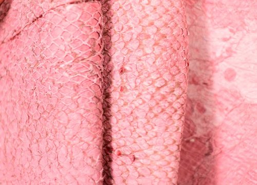 Echtes Kabeljau Fischleder naturell rosa 0,4-0,6 mm #f159
