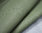 Taschenleder Gürtelleder Eidechsen-Optik "Sansibar" teju-grün 0,8-1,0 mm #tw25