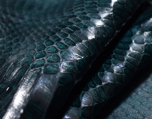 Echtes Wasserschlangenleder petrol-grün 0,1-0,2 mm Schlangenleder #wsk03
